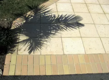 Detail of coral stone walkway with brick edge